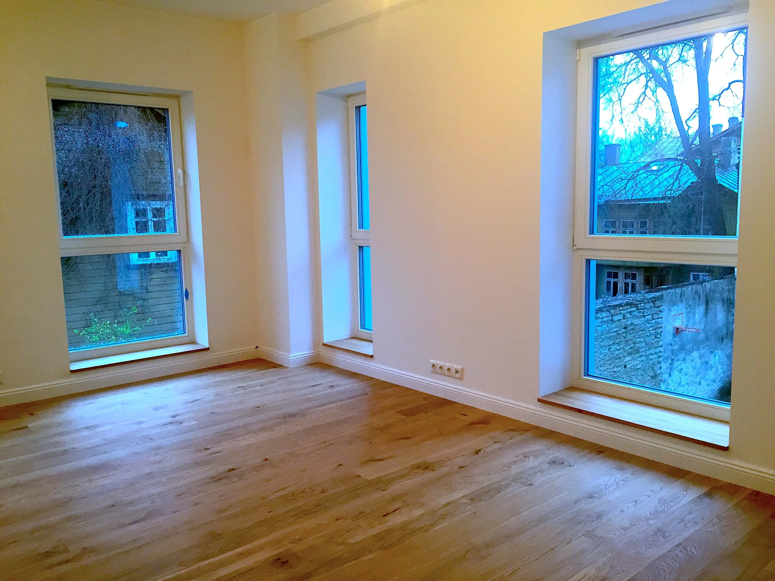 Galerii pilt 4